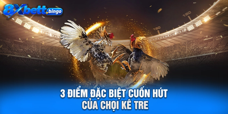 3 điểm đặc biệt cuốn hút của chọi kê tre