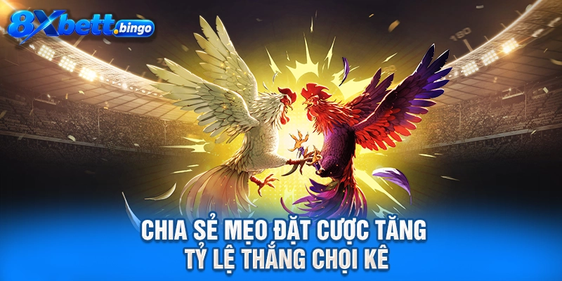 Chia sẻ mẹo đặt cược tăng tỷ lệ thắng chọi kê