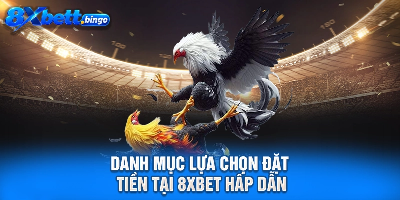 Danh mục lựa chọn đặt tiền tại 8XBET hấp dẫn