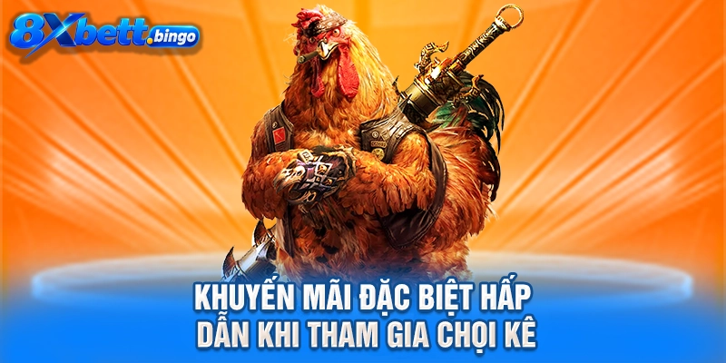 Khuyến mãi đặc biệt hấp dẫn khi tham gia chọi kê