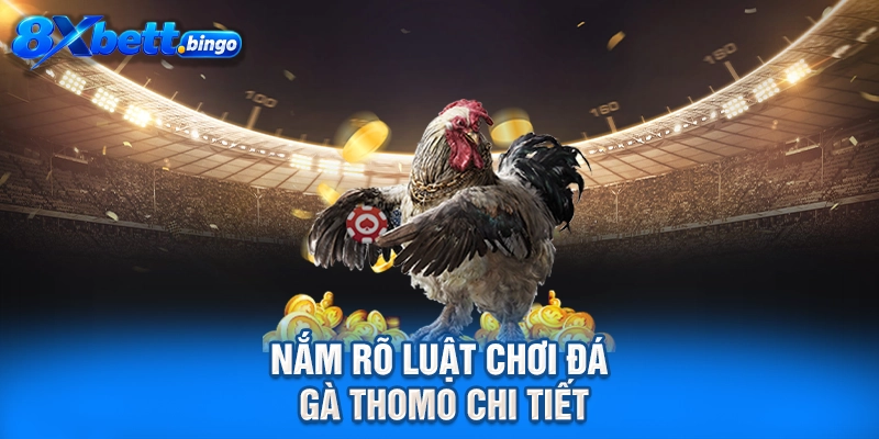 Nắm rõ luật chơi đá gà Thomo chi tiết