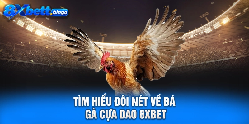 Tìm hiểu đôi nét về đá gà cựa dao 8XBET