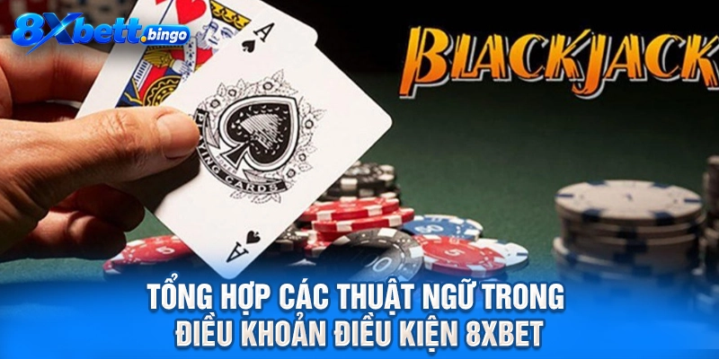 Tổng hợp các thuật ngữ trong điều khoản điều kiện 8XBET