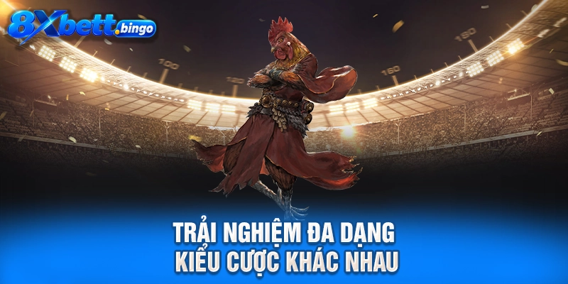 Trải nghiệm đa dạng kiểu cược khác nhau